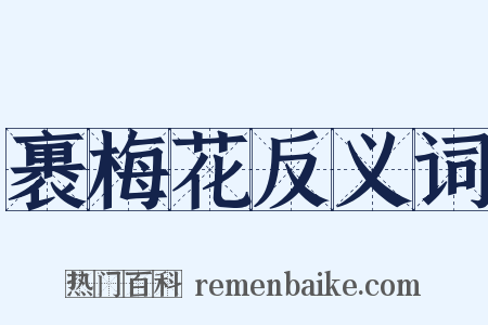 裹梅花反义词是什么意思的图片